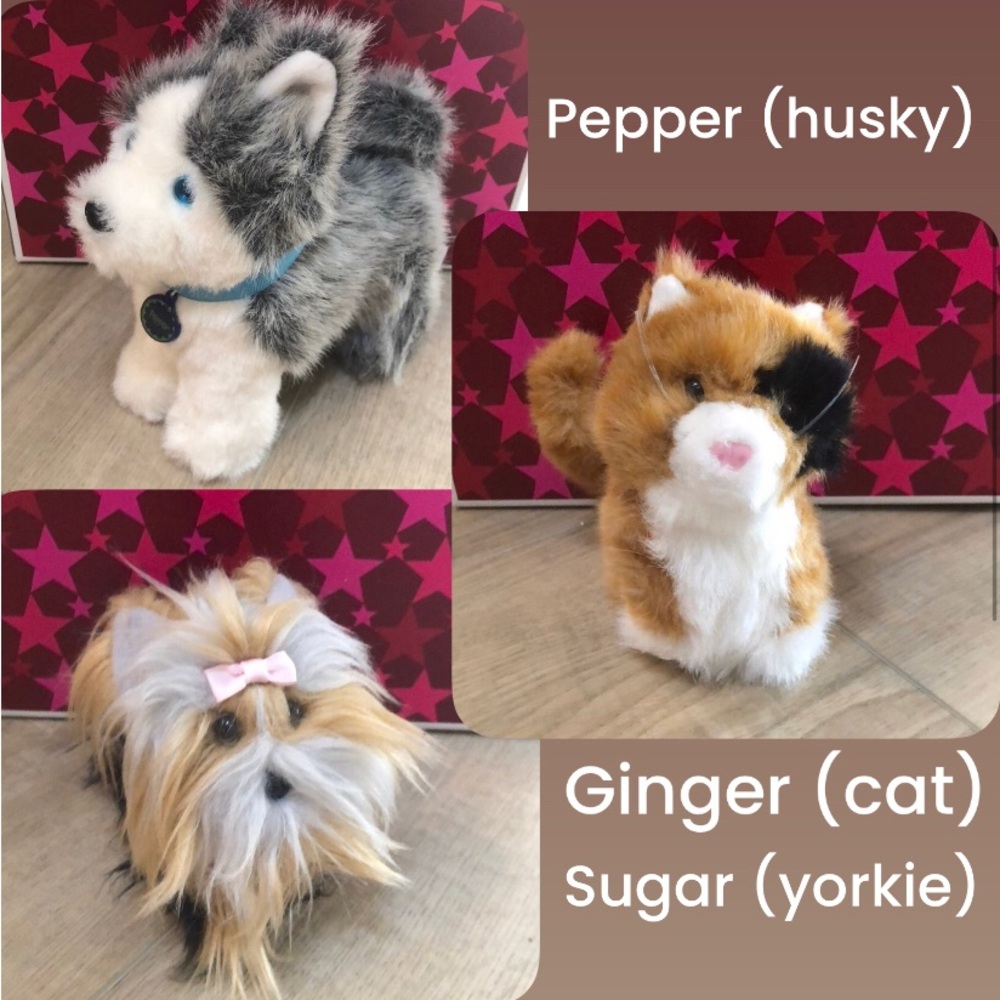 3 Pet Bundle | American Girl